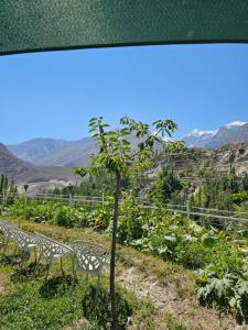 Imagem da galeria de Escape Hostel em Karimabad Hunza mais 31 fotografias