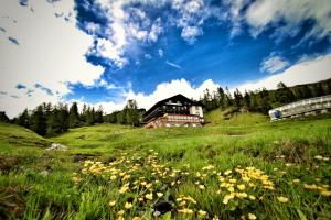 una casa en la cima de un campo verde con flores en Hotel Alpen Arnika, en Tauplitzalm
