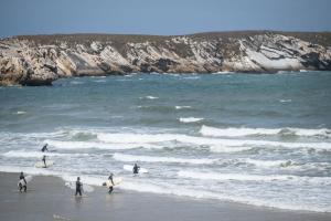 a group of people walking into the ocean with surfboards at Huttopia Lagoa de Óbidos in Casal do Narcizo