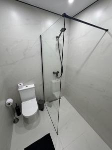 a bathroom with a toilet and a glass shower stall at Rest & Fly in Chişinău