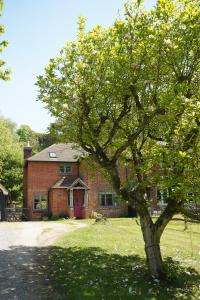 Zahrada ubytování Mays Cottage Bed and Breakfast