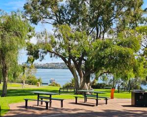 a group of benches in a park with a tree at Apartment Riverside Bicton in Bicton