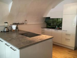 Kuchyňa alebo kuchynka v ubytovaní Apartment Enzinger