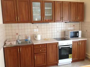 A kitchen or kitchenette at Villa Galina Hévíz