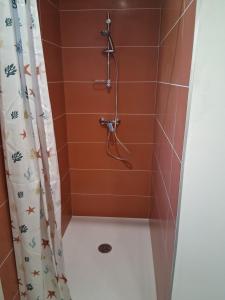 e bagno con doccia e piastrelle marroni. di Au bord du Rhône a Tain-l'Hermitage Altre 4 foto