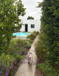 a dog sitting on a bench in a garden at Suburban Bliss in Stellenbosch