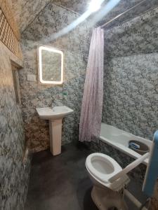 a bathroom with a toilet and a sink at Little blue Moon in Srinagar