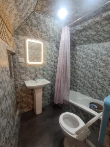 een badkamer met toilet en wastafel bij Little blue Moon in Srinagar