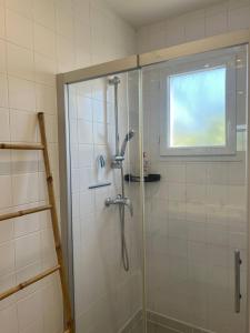 una doccia con una porta in vetro in un bagno di Le Bord du Lac a Pont-de-lʼIsère