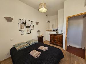 een slaapkamer met een bed met twee handdoeken erop bij Le nid douillet in Pertuis +4 foto's