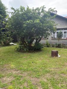 Ảnh trong thư viện ảnh của Denzong House ở Kalimpong