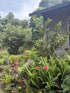 Ảnh trong thư viện ảnh của Denzong House ở Kalimpong