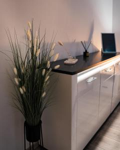 Η κουζίνα ή μικρή κουζίνα στο Corner Apartman Szeged