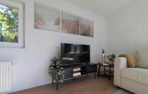 a living room with a tv and a couch at Lovely Home In Heinkenszand With Heated Swimming Pool in Heinkensand +20 photos