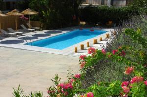 a swimming pool in a yard with chairs and flowers at Ψιλή Άμμος in Tolo