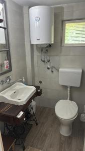 a bathroom with a white toilet and a sink at Danube River Cottage - Bezdan in Bezdan