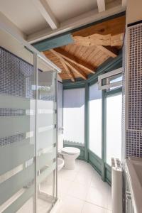 a bathroom with a toilet and glass walls at Apartamentos del Norte in Andrín +43 photos