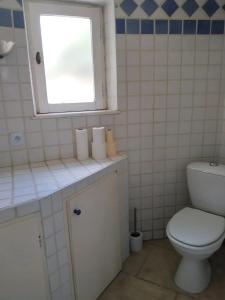 a bathroom with a toilet and a window at Maison charmante à Saint-Siffret + Piscine in Saint-Siffret +18 photos