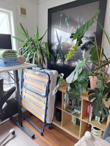 Χώρος καθιστικού στο Cozy apartment with terrace and proximity to nature +15 φωτογραφίες