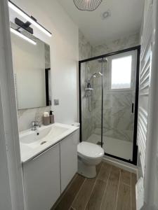 a bathroom with a toilet and a sink and a shower at La chambre de Bodhi 