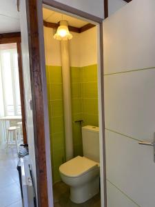 a bathroom with a toilet and a green wall at Appartement meublé 52m2 in Bagnères-de-Bigorre