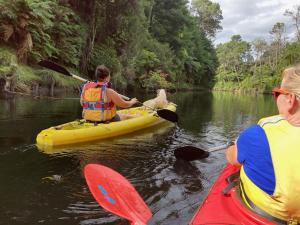 Θέα στο ποτάμι κοντά σε αυτό το διαμέρισμα