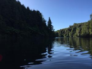Φυσικό τοπίο κοντά σε αυτό το διαμέρισμα