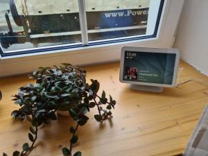 a small tv sitting on a floor next to a potted plant at Haus Waldstein Kraxler Pärchen in Weißenstadt