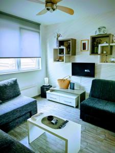 a living room with a couch and a tv at Studio SimpaKop in Kopaonik