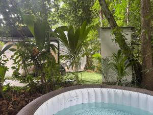 a pool in a garden with trees and plants at Bulle skys evasion in Gros-Morne
