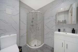 a bathroom with a shower and a toilet and a sink at Lovely Private Large Studio with Parking in Borehamwood