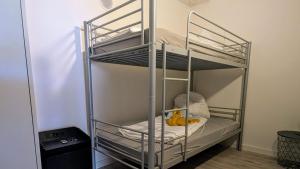 a room with two bunk beds in a room at Rhin Quartier Ferienwohnung Hostel-Style in Rheinsberg +6 photos