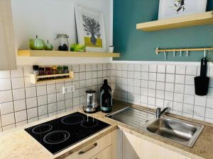 a kitchen with a sink and a stove at Ferienwohnung "Zur Amsel" in Burkhardtsdorf +8 photos