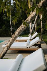 two lounge chairs sitting next to a tree at Sa House - Talpe in Galle