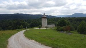 a building on a hill next to a dirt road at Apartment Nina in Drežnik Grad