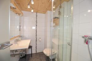 Un baño con ducha, lavabo e inodoro. en Hafnerlehen, en Berchtesgaden 37 fotos más