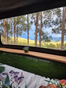 a bedroom with a window with a view of trees at Banksia Bus in Longley Lower
