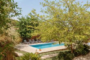 an image of a swimming pool in a garden at Villa Estelle, Hvar Island in Vrbanj