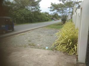 an empty road with a plant on the side of the road at LV Residences Siargao in Dapa