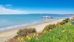 a view of a beach with a pier and flowers at Chic 2 Bed Flat-Free Parking in Bournemouth Town Centre in Bournemouth