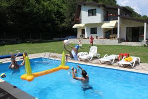 un grupo de personas jugando en una piscina en Casuta Didi, en Brezoi