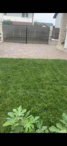 een stukje groen gras in een tuin bij Casa Carolina in Alba Iulia