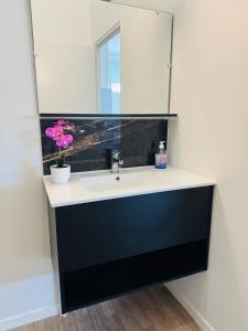 a bathroom with a sink and a mirror at Appartement Champagne in Châlons-en-Champagne