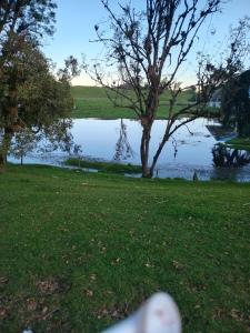 a view of a lake from a yard at Los frailejones in Murillo