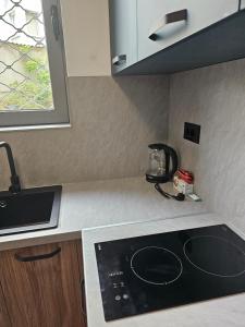 eine Küche mit Herd und Arbeitsplatte in der Unterkunft Studio Stil in Plewen