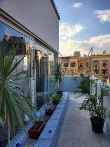 a balcony with potted plants on the side of a building at The Ultimate Luxury Stay at garden city in Cairo