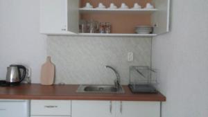 A kitchen or kitchenette at Apartment's Pita & Mare