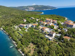 an aerial view of a house on a island in the water at Apartments Alenka by the sea in Labin