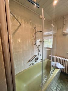 Koupelna v ubytování Ferienwohnung Im Lohbusch