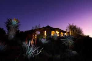 Fotografie z fotogalerie ubytování Buffelsdrift Game Lodge v destinaci Oudtshoorn